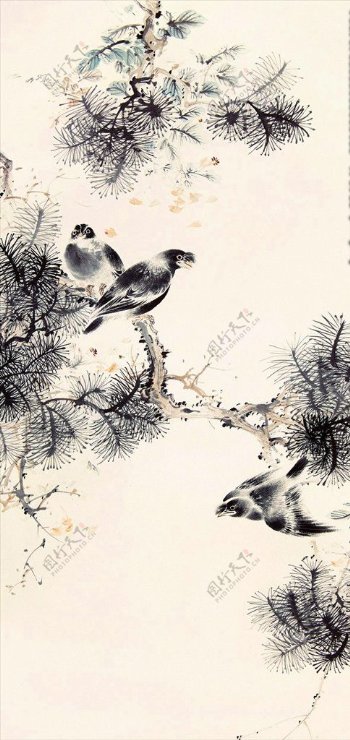 植物鸟雀中国风装饰画