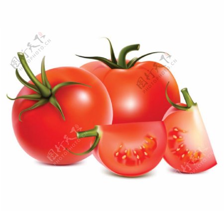 多款西红柿番茄手绘AI矢量素材