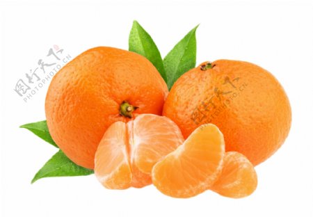 橘子免扣PSD