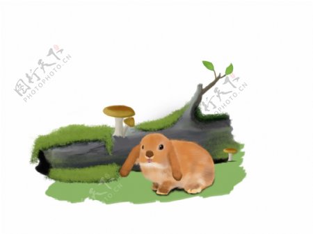 手绘兔子插画兔子木头香菇