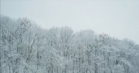 冬日山上风景