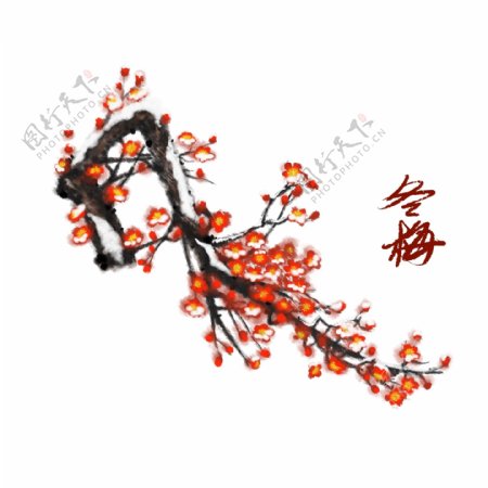 中国风手绘花卉插画梅花素材