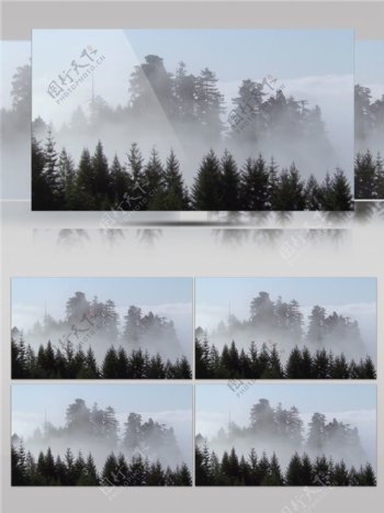 云雾里的丛林景色视频音效