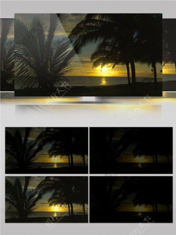 日落黄昏阳光椰树沙滩视频素材