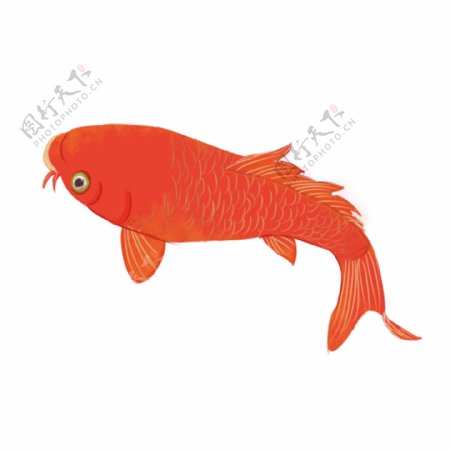 可商用红色喜庆中国风手绘新年金鱼装饰图案
