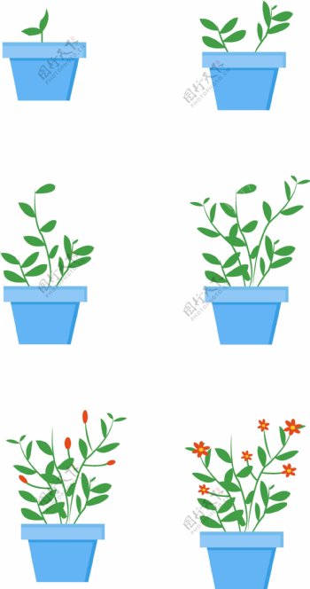 矢量简约可爱植物生长过程植物