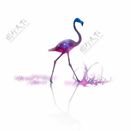 紫色星空火焰鸟可商用元素