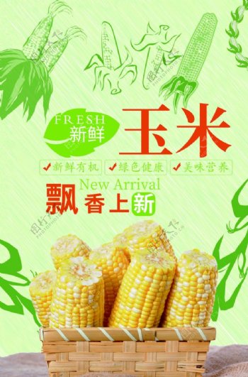新鲜玉米宣传海报