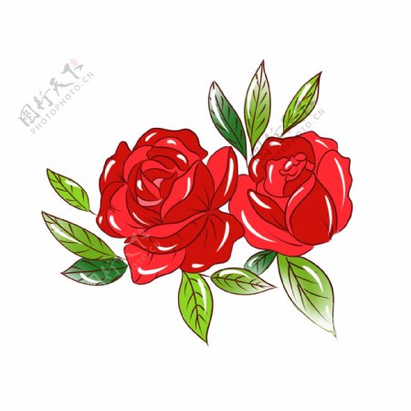 手绘植物花卉红色玫瑰花可商用