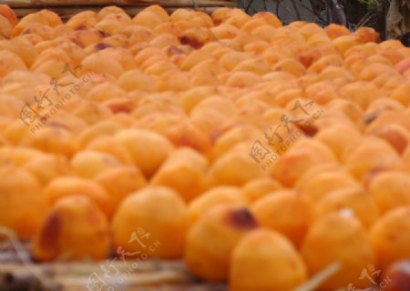 黄色成熟柿子水果