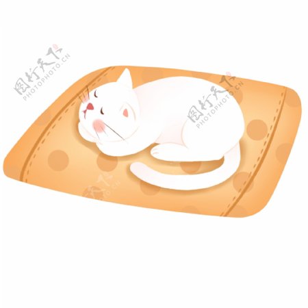 手绘垫子上睡觉的猫咪