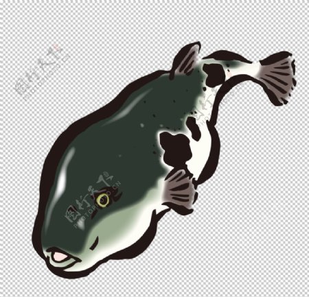 河豚水彩绘画海鱼鱼类海产图案