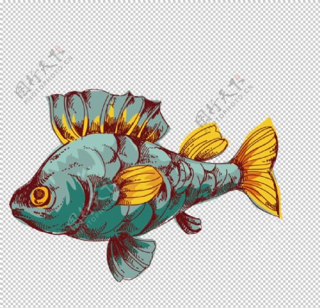 创意精致绘画鱼类