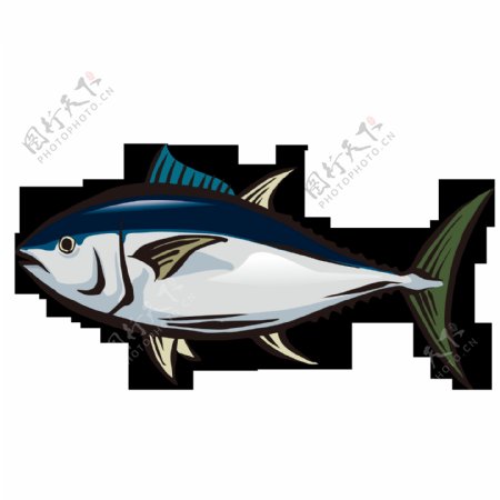 金枪鱼水彩绘画海鱼鱼类海产图案