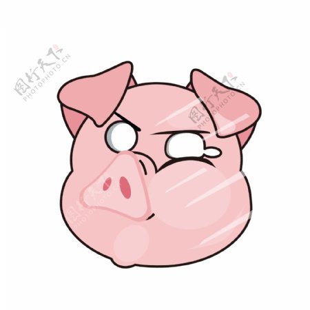 卡通猪撞在玻璃上的猪可商用