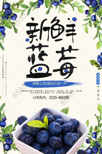 夏天新鲜蓝莓水果美食海报