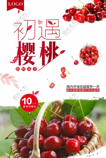 樱桃成熟美食海报设计.psd