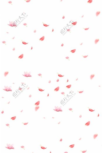 免抠素材粉红花瓣