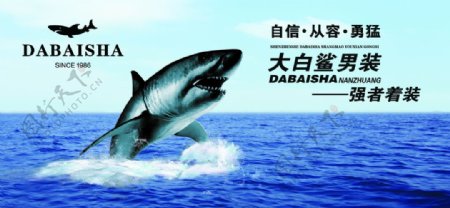 大白鲨企业文化