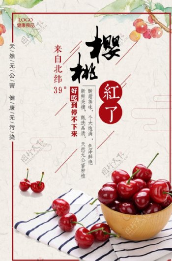 水果樱桃海报设计