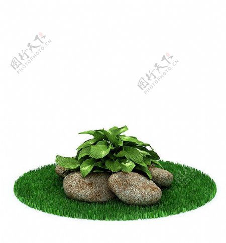 室外种植绿色植物3d模型