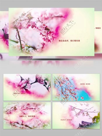 粉色浪漫桃花节樱花节图文宣传片头ae模板
