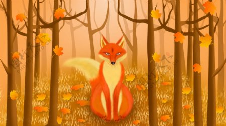 秋分节气落叶狐狸在林中插画
