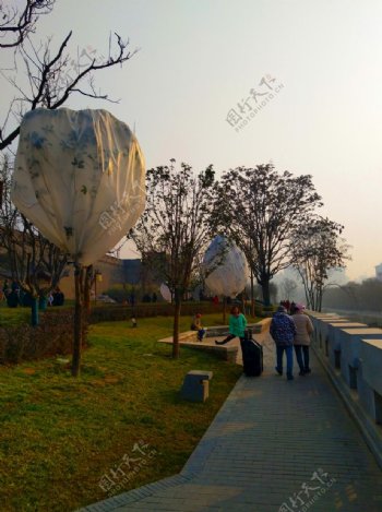 夕阳下的公园风景