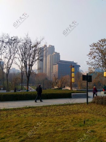 夕阳下的公园风景