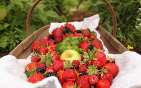 草莓覆盆子浆果篮子食物