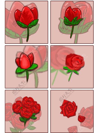 情人节玫瑰花素材材料