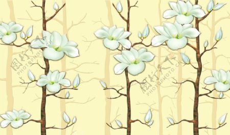 淡色白色玉兰花植物画