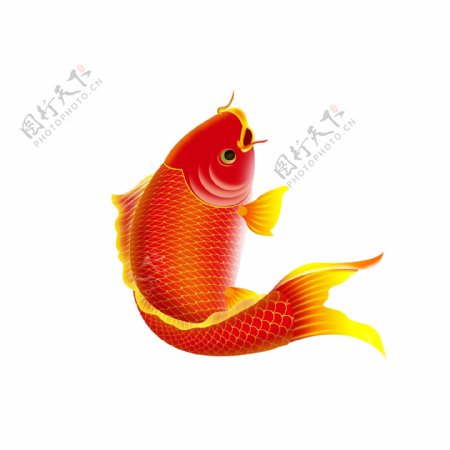 红色金鱼新年元素设计