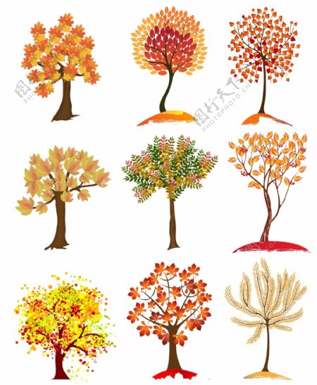 秋天的大树组图矢量元素