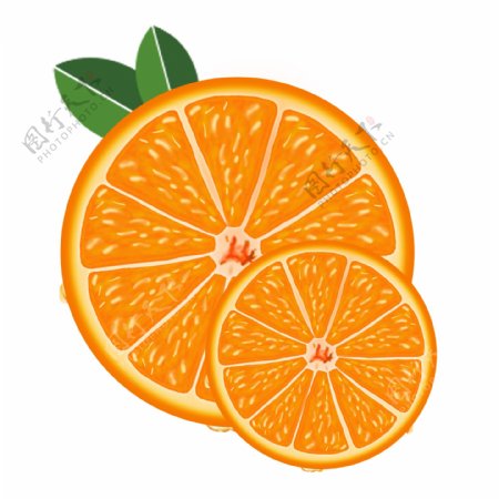 清新手绘橙子食物设计元素