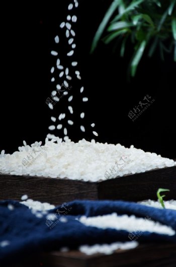 晶莹洁白的大米