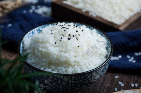 珍珠米饭