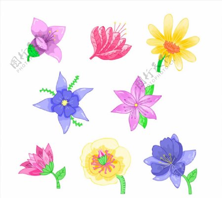 8款水彩绘花朵设计矢量图