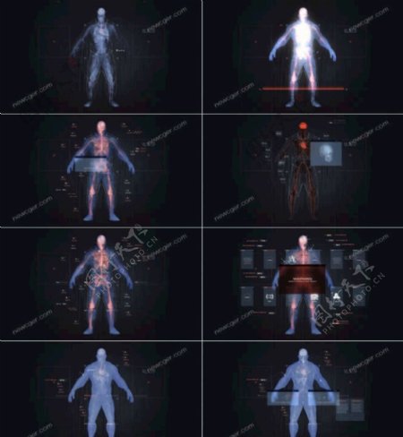 模拟人体扫描的效果