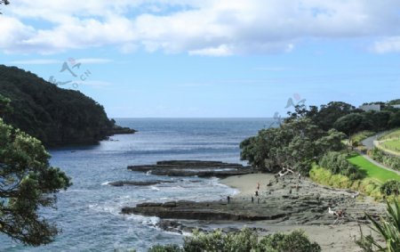 奥克兰山羊岛风光