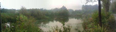 潍坊湿地公园