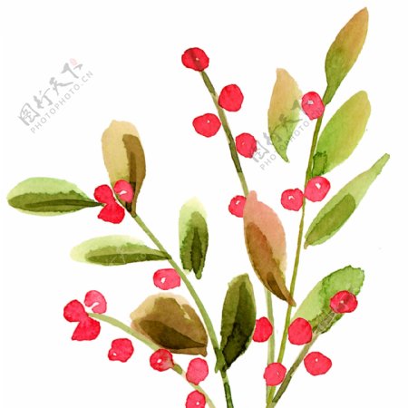 手绘植物红色小果子创意元素