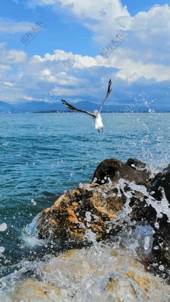 海边风景