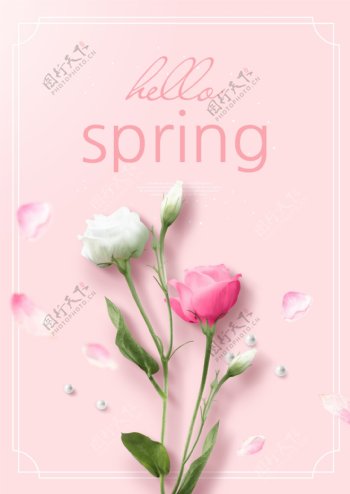 粉色玫瑰花的约春海报