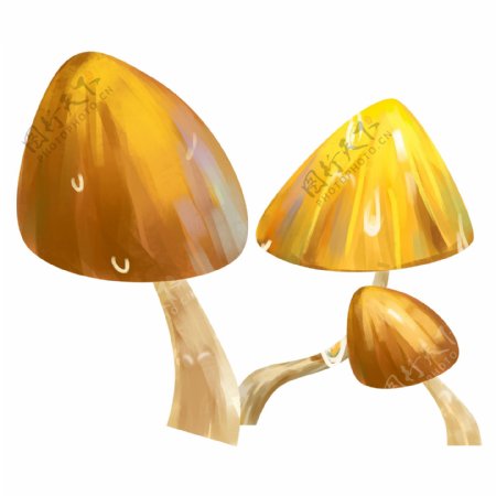 卡通手绘食材蘑菇插画元素