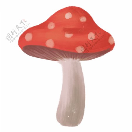 新鲜蔬菜食材蘑菇插画元素
