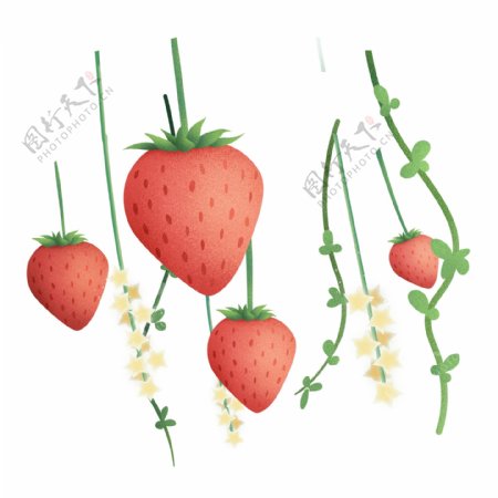 手绘新鲜草莓插画素材