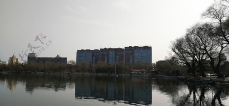 春天里的北京玉渊潭公园
