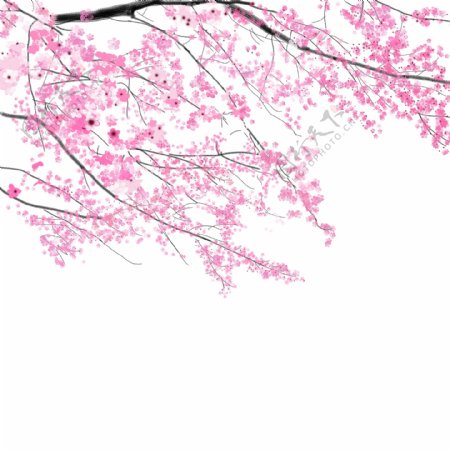 樱花树枝粉色浪漫元素花边素材