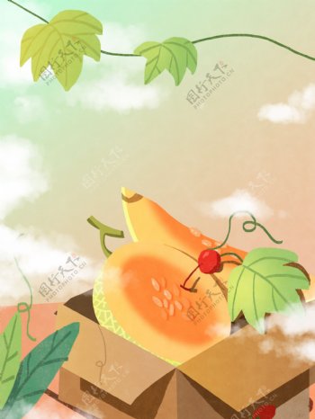 哈密瓜新鲜水果插画背景